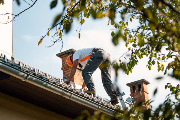 Best Metal Roofing Contractor  in East Prairie, MO
