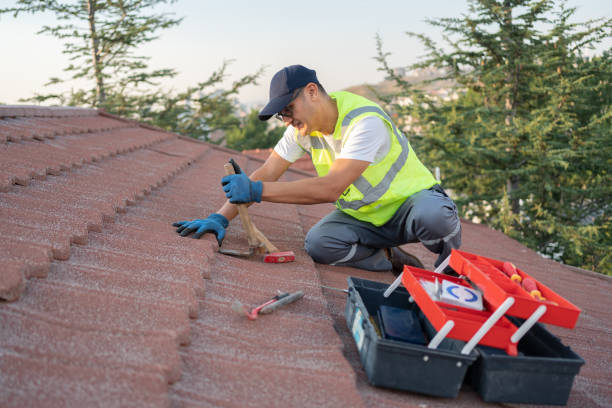 Best Roofing Contractor Near Me  in East Prairie, MO